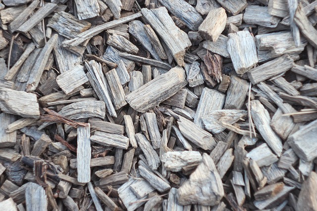 Close-up of wood chip mulch used for landscape beds